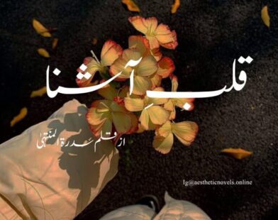 Qalb E Ashna