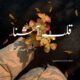 Qalb E Ashna