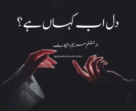 Dil Ab Kahan hy