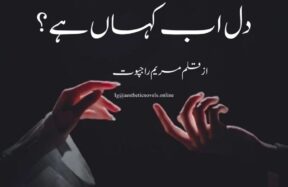 Dil Ab Kahan hy