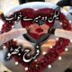 IMG 20260508 WA0030 80x80